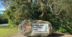 Everglades National Park. Road Trip Sur de La Florida en Estados Unidos.