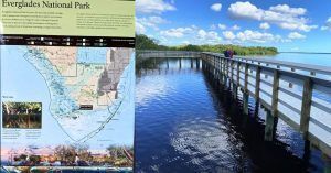 Everglades National Park. West Lake, Florida. Estados Unidos.