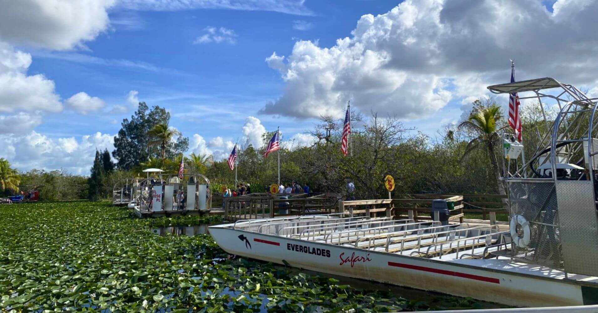 Excursión en el Airboat. Parque Nacional de Everglades. Road Trip Sur de La Florida. Estados Unidos.