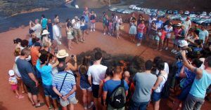 Exhibición del Fuego en el Parque Nacional de Timanfaya. Lanzarote. Islas Canarias.