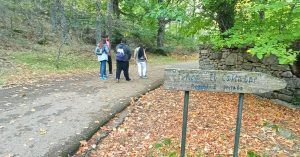 Finca de el Castañar. Bosque de La Herrería. El Escorial, Madrid.