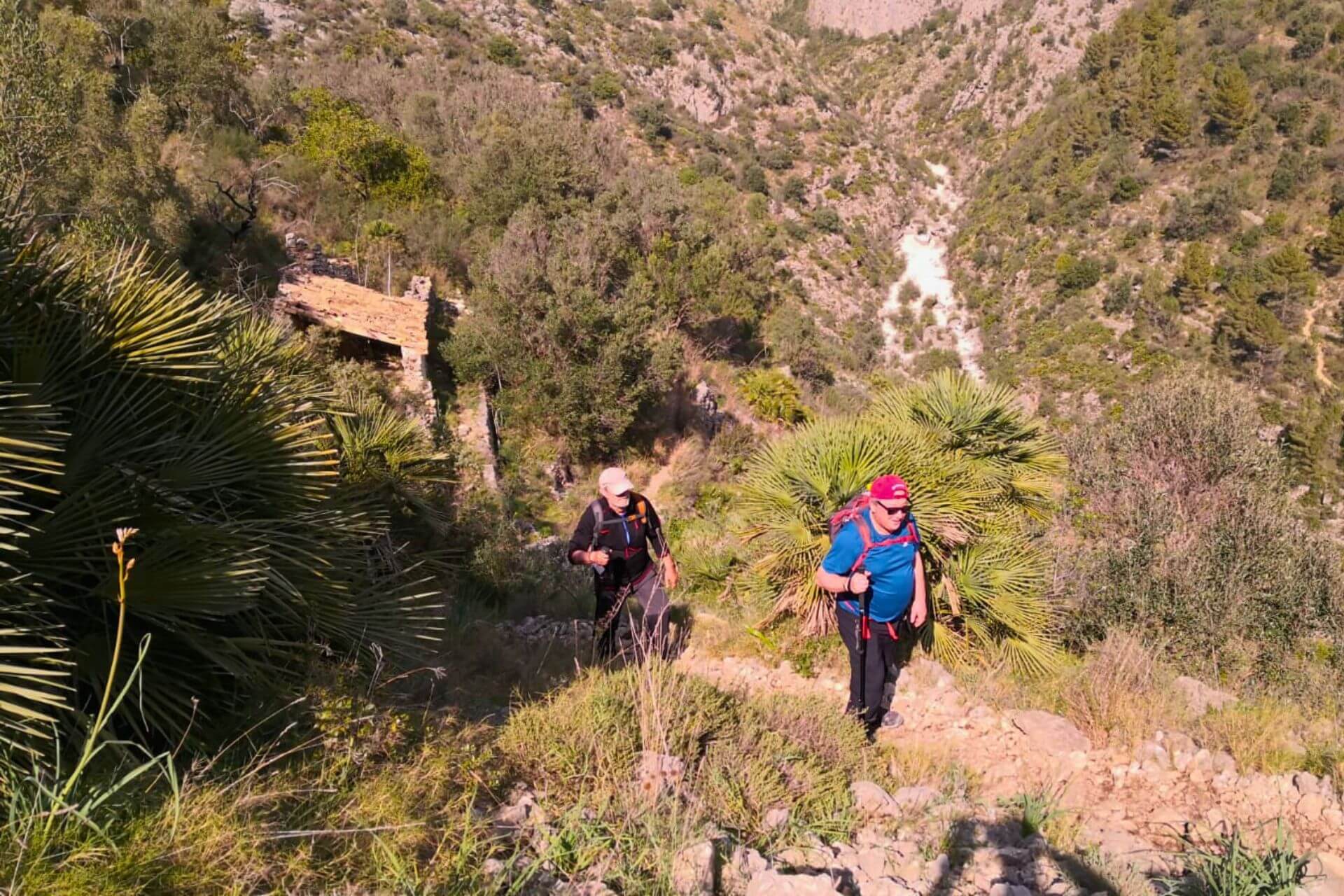 Fuerte Subida en la Ruta de los 6000 Escalones Catedral del Senderismo. Vall de Laguar. Alicante.