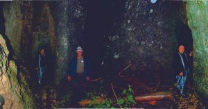 Galería de la Garganta Pokljuka Soteska. Krinica, Alta Carnolia. Gorenjska, Parque Nacional de Trivlav. Eslovenia.