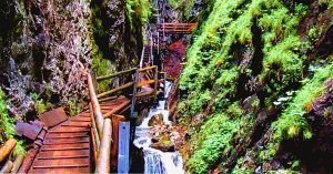 Garganta Gorge Dr Vogelgesangklamm. Spital am Pyhrn. Hasenberg, Alta Austria.