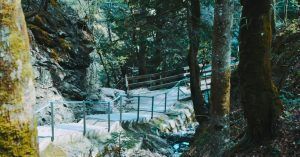 Garganta Rappenlochschlucht. Dornbirn, Gütle. Volrarberg, Austria.