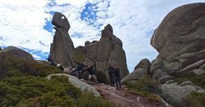 Gaviotos en el Dinosaurio de La Maliciosa. Navacerrada. Madrid.