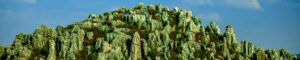 Geoparque Bosque de Piedra de Xingwen en China.