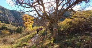 GR 10. Amanaderos de Riodeva. Teruel, Aragón.
