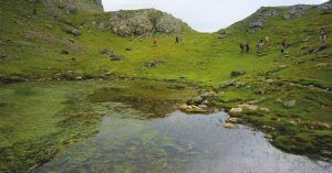 Gr10 Parque Nacional de Pirineos. Nueva Aquitania. Pirineos Atlánticos. Francia.
