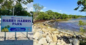 Harry Harris Park. Road Trip Sur de La Florida. Parque Nacional de Esverglades, Florida. Estados Unidos.