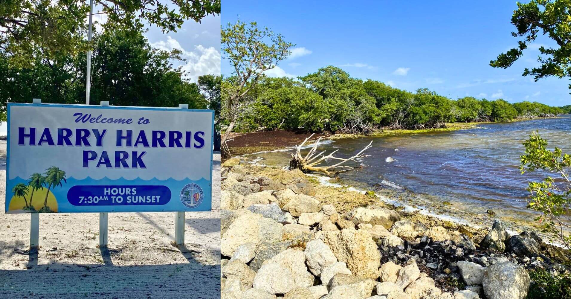 Harry Harris Park. Road Trip Sur de La Florida. Parque Nacional de Esverglades, Florida. Estados Unidos.