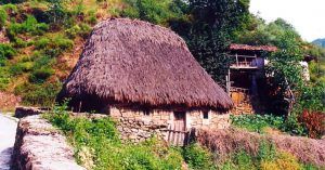 Hayedos de Somiedo, Asturias.