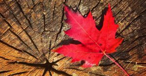 Hoja del Viaje a Canadá