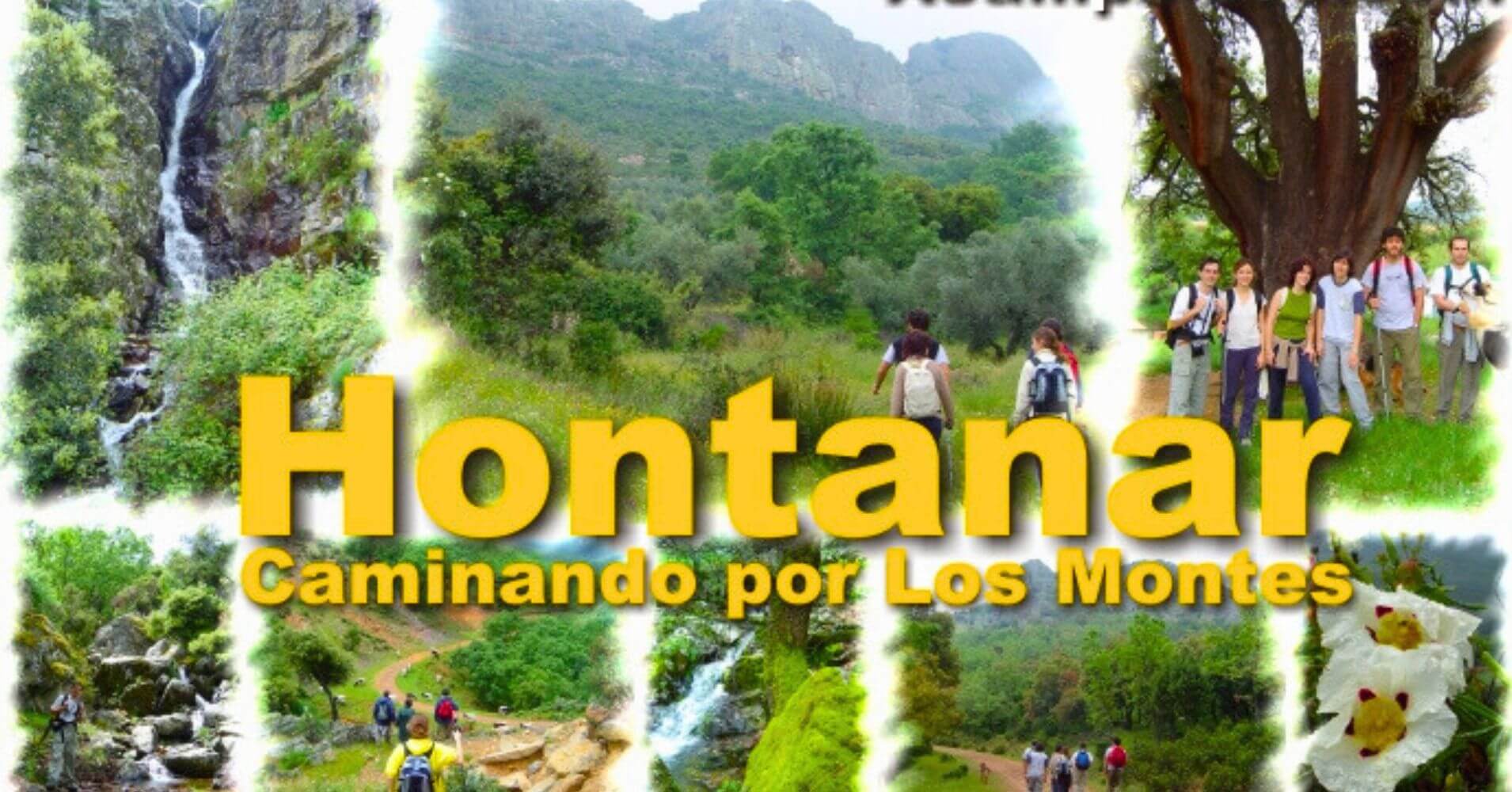 Hontanar en los Montes de Toledo.