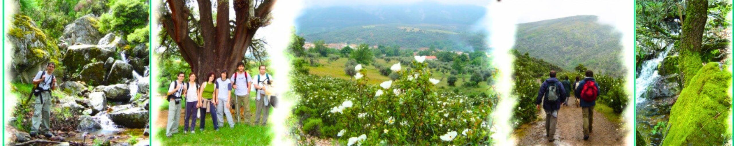 Hontanar, Montes de Toledo.