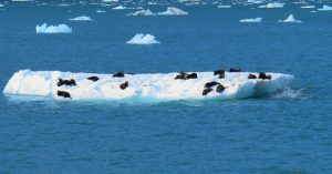 Iceberg en el Glaciar de Columbia. Alaska, Estados Unidos.