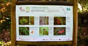 Info Vegetación del Geoparque UNESCO Arouca. Portugal.