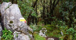 Sendero Vía Ferrata El Cáliz, Ramales de la Victoria. Cantabria.