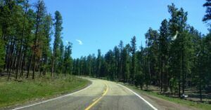 Kaibab National Forest. Arizona, Estados Unidos.