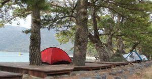 La Guía Camping de Europa.
