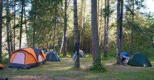 La Guía de Camping Castilla la Mancha.