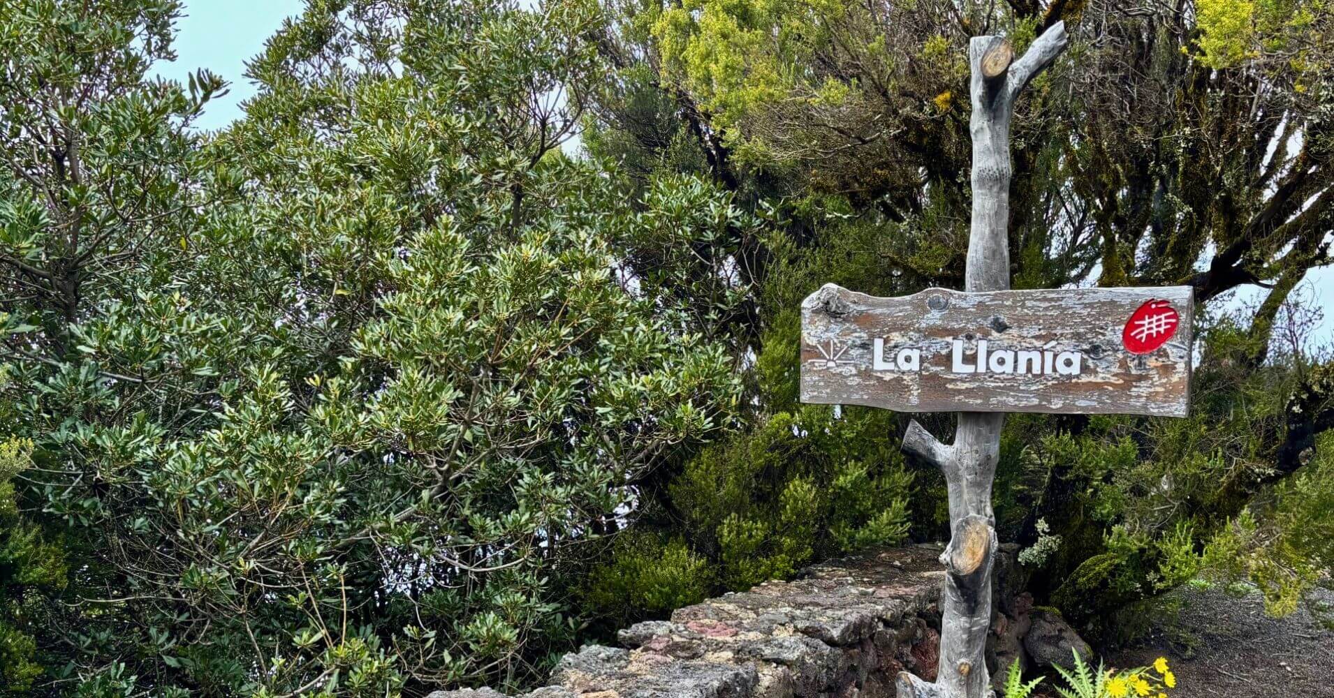 La Llania, Isla de El Hierro. Canarias.