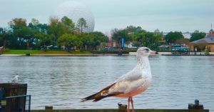 Lago del Parque Disney Epcot. Orlando, Florida. Estados Unidos.
