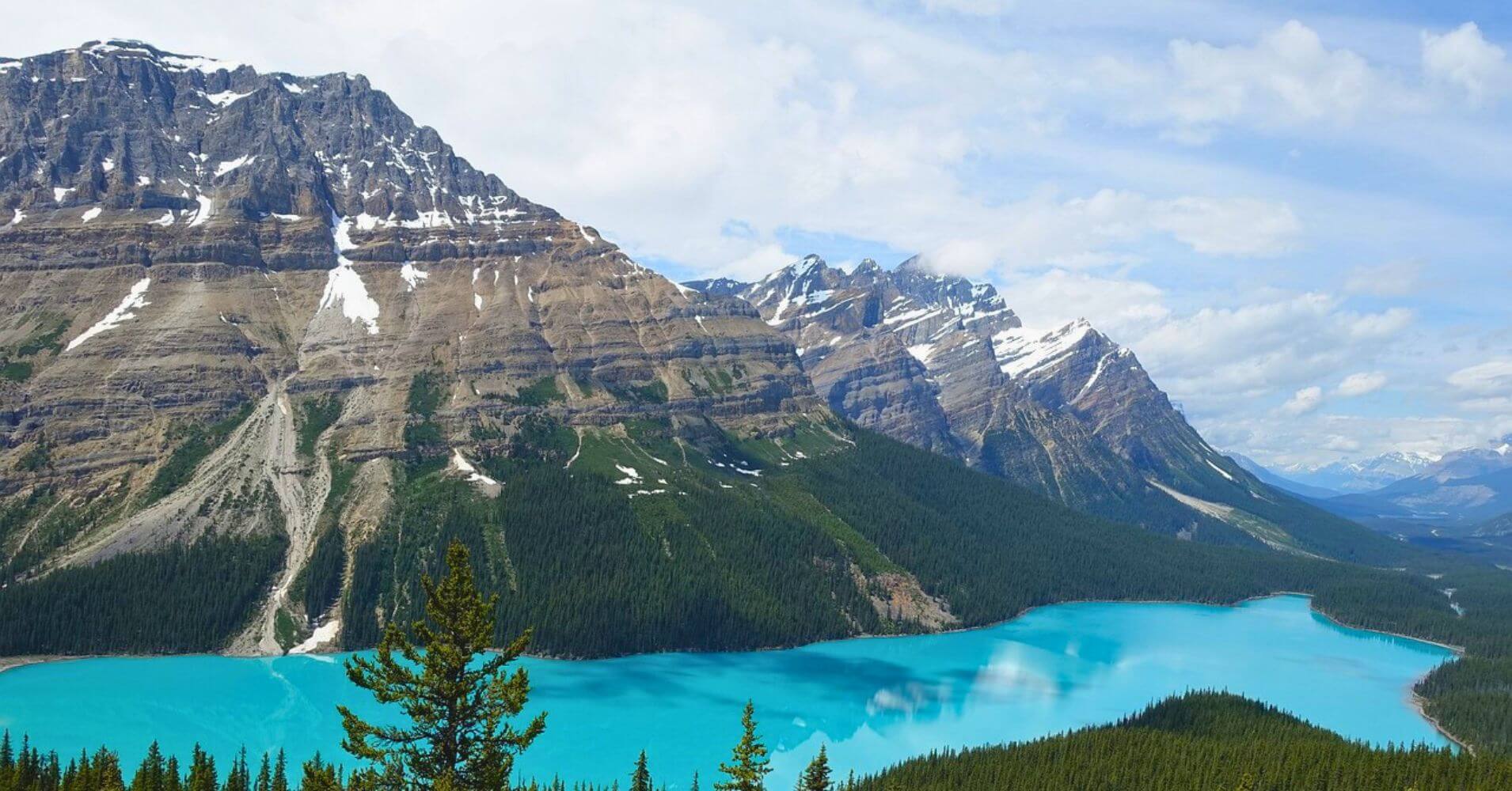 Lago Peyto Parque Nacional Banff. Alberta, Canadá. Lago Peyto Parque Nacional Banff. Alberta, Canadá.