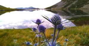 Laguna de los Caballeros, Navalguijo. Ávila. Castilla y León.