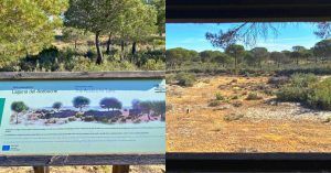 Laguna del Acebuche. Parque Nacional de Doñana. Huelva, Andalucía.