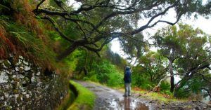 Levada de la Cascada do Risco en la Isla de Madeira. Portugal.