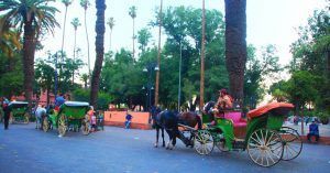 Calesas de Marrakech, Marruecos.