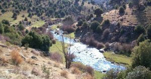 Meandros de la Garganta del Río Cofio. Robledo de Chavela. Madrid.