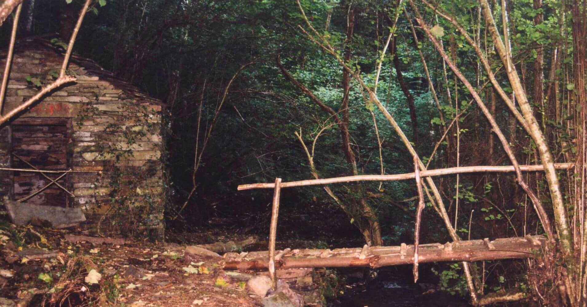 Molino, Ruta del Teixo. Asturias.