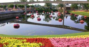 Monorrail de Disney. Orlando, Florida. Estados Unidos.