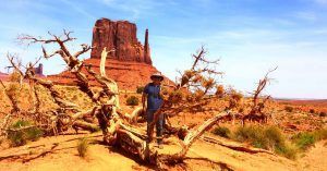 Monument Valley. El Valle de Los Monumentos. Árbol Seco. Utah, Arizona. Estados Unidos.