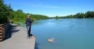Muelles del Lago Kenai. Alaska, Estados Unidos.