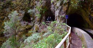 Nacientes de Marcos y Cordero. Isla de La Palma. Islas Canarias.