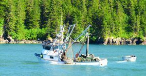Navegando por El Puerto de Valdez. Alaska, Estados Unidos.