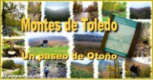 Otoño en Montes de Toledo.