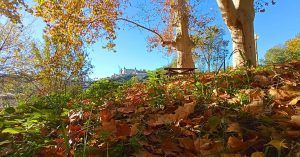 Otoño en Toledo. Castilla la Mancha.