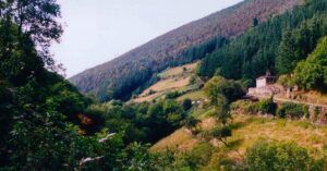 Paisaje Ruta del Teixo. Asturias.