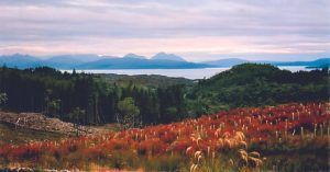 Paisajes del Lago Ness, Higlands. Tierras Altas de Escocia. Reino Unido.