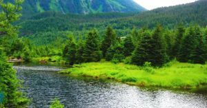 Paisajes del Parque Nacional Dénali. Alaska, Estados Unidos.