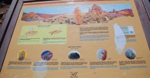 Panel Informativo de los Roques de García. Parque Nacional de las Cañadas del Teide. Tenerife.