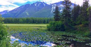 Siete días en Alaska. Estados Unidos.