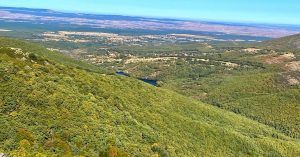 Panorámicas del Hayedo desde El Puerto de La Quesera. Riofrío de Riaza, Segovia.