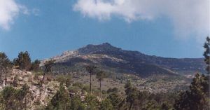 Bosques de la Adrada. Ávila. Castilla y León.