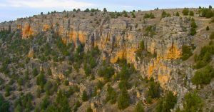 Paredes de Roca Caliza del Parque Natural Hoces del Río Duratón. Sepúlveda. Segovia.