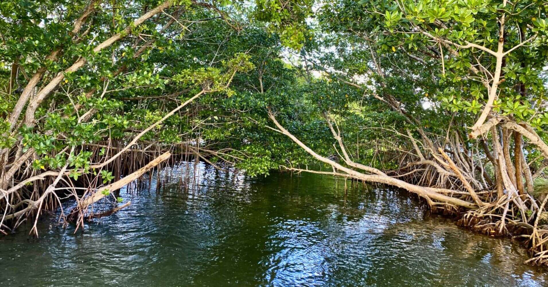 Parque Nacional Biscayne. Florida, Estados Unidos.